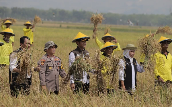 Thumbnail Berita - Panen Raya di Tuban, Gubernur Jatim Khofifah Apresiasi Pupuk Organik