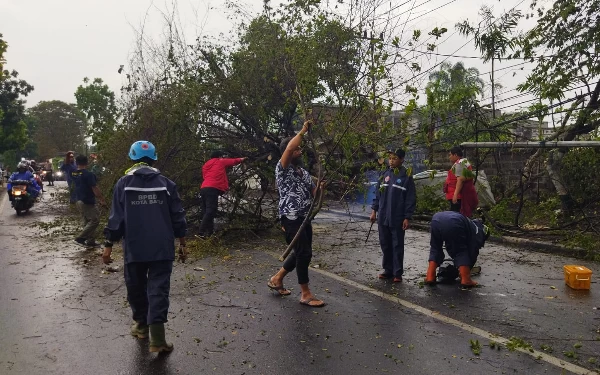 Thumbnail Berita - Angin Kencang di Kota Batu Sebabkan Pohon Tumbang dan Atap Rumah Hancur