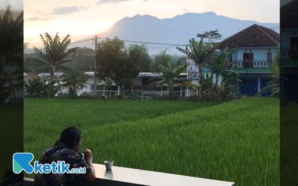 Thumbnail Sensasi Ngopi di Esonja Cafe Malang, Gunung dan Sawah Jadi View Andalan