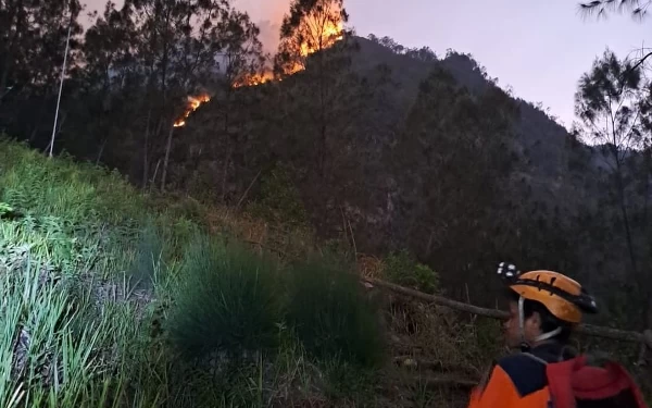 Thumbnail Berita - Tersambar Petir, Lereng Gunung Panderman Kota Batu Terbakar