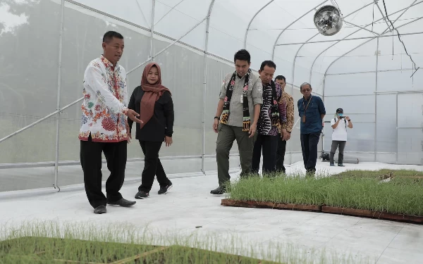 Thumbnail Berita - Kementan RI Dampingi Program Nursery dengan Teknologi Soilblock di Sleman