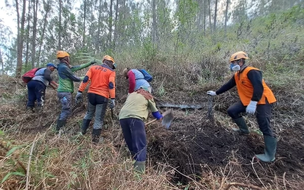 Thumbnail Berita - Kebakaran Gunung Panderman Kota Batu Padam, Belasan Hektar Hangus Terbakar