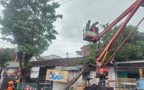 Thumbnail Pohon Tumbang dan Belasan Rumah Rusak Akibat Hujan Disertai Angin Kencang di Bondowoso