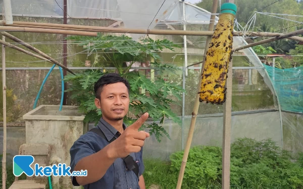 Thumbnail Petani Pacitan Usung Konsep Green House untuk Tanam Cabai di Luar Musim