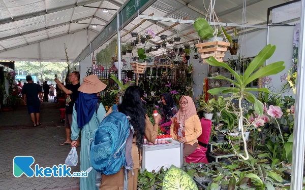 Batu Shining Orchid Week 2023 Dongkrak Ekonomi Lewat Pameran Anggrek