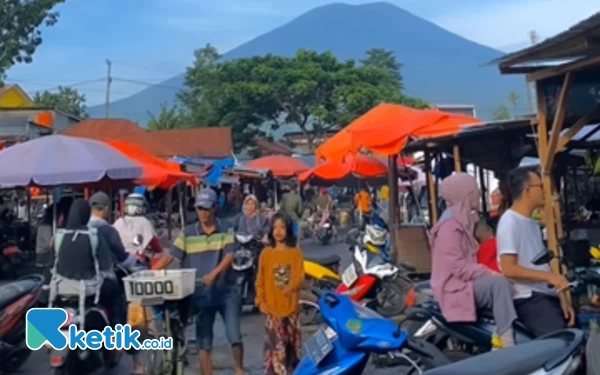 Thumbnail Harga Tomat di Pagaralam Melambung, Sentuh Angka Rp12 Ribu per Kilogram