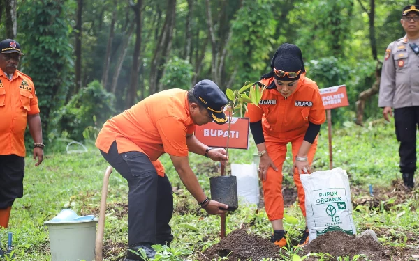 Thumbnail Lakukan Reboisasi di Perkebunan Kalijompo, Bupati Jember: Menjaga Keseimbangan Alam