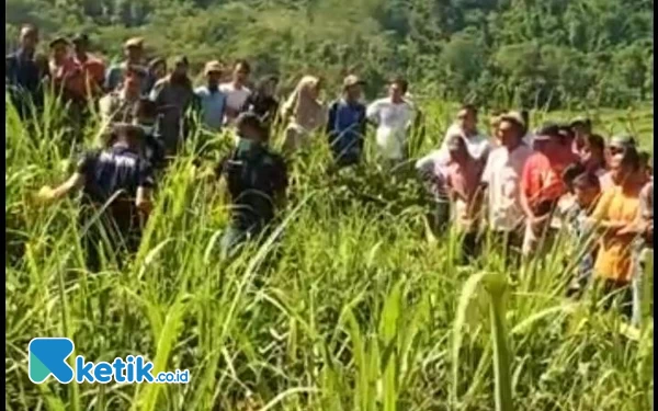 Thumbnail Penemuan Mayat di Ladang Tebu Gegerkan Warga Pakisan Bondowoso