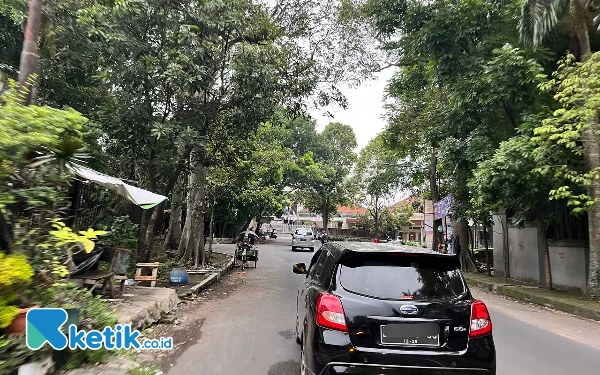 Antisipasi Pohon Tumbang, DLH Kota Malang Rapikan Ratusan Pohon