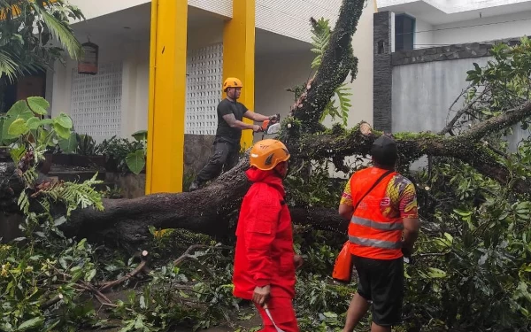 Thumbnail Akibat Hujan dan Angin Kencang, Bangunan dan Mobil di Jember Rusak