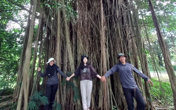 Thumbnail Ratusan Spesies Pohon Tumbuh di Hutan P-WEC Malang