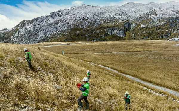 Thumbnail Berita - Freeport Hijaukan Kembali Kawasan Bekas Tambang Terbuka Grasberg