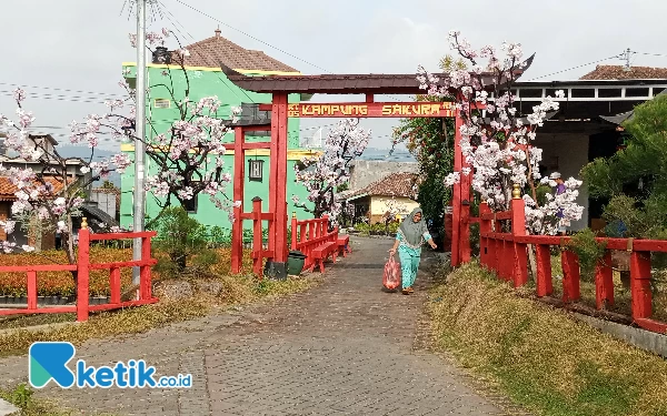 Kampung Sakura Kota Batu akan Segera Diresmikan