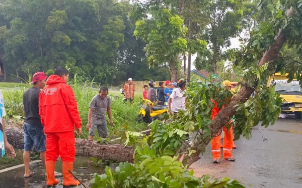 Thumbnail Masyarakat Jember Diimbau Waspada Bencana Hidrometeorologi Sepekan ke Depan