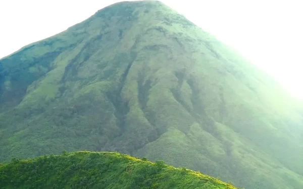 Thumbnail Ditumbuhi Banyak Bunga, Inilah Fakta-Fakta Gunung Kembang