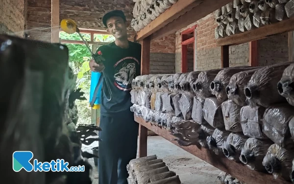 Thumbnail Berita - Langit Mendung Bawa Berkah, Petani Jamur di Pacitan Sumringah