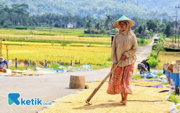 Thumbnail Kultur Jadi Pemicu Generasi Muda di Pacitan Enggan Bertani