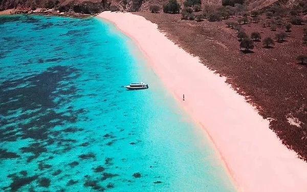 Thumbnail Berita - Mengisi Liburan dengan Menikmati Keindahan Pantai Pink di Lombok Timur