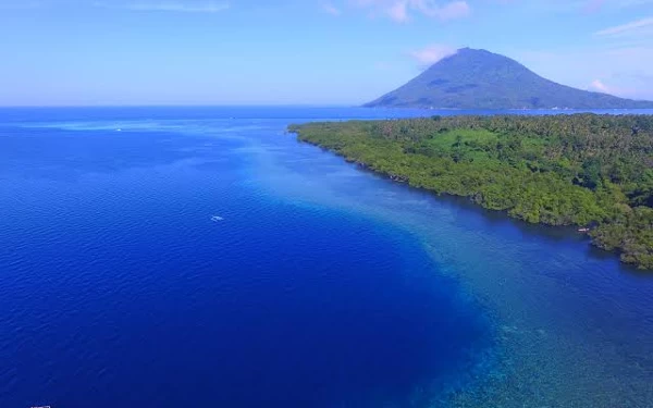 Thumbnail Melihat Keindahan Biota di Taman Laut Bunaken