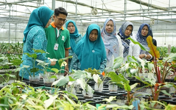 Thumbnail Ketua TP PKK Asahan Kunjungi PT Hijau Surya Biotechindo