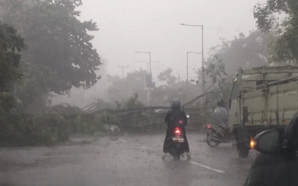 Thumbnail Fenomena Langka, Hujan Es Hebohkan Warga Sidoarjo