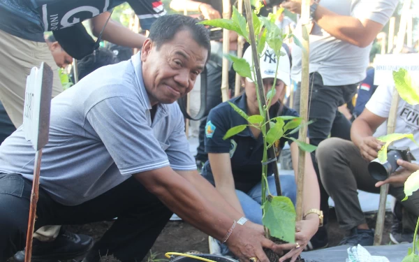 Thumbnail Tekan Laju Inflasi, Pemkab Buleleng Tamam Cabai di Lahan Hutan Kota