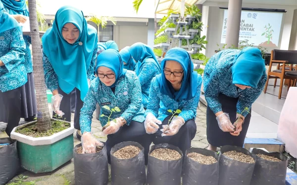 Thumbnail Pj Ketua PKK Jatim Ajak Emak-Emak Tanam Cabai dan Toga di Pekarangan Rumah