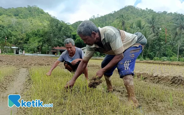 Thumbnail Tunggu Hasil Lab Investigasi GLI Pacitan, Gakkum KLHK Bersiap Surati Bupati