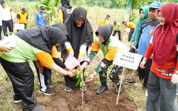 Thumbnail Berita - Mitigasi Bencana Hidrometeorologi, BPBD Situbondo Tanam Ribuan Pohon di Lahan Kritis