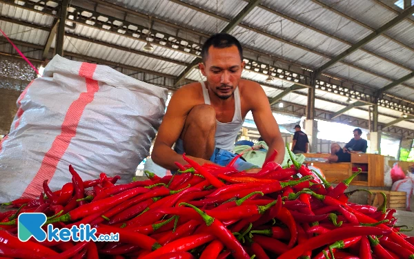 Thumbnail Selain Beras, Pemkab Kediri Pastikan Ketersediaan Stok Cabai Aman