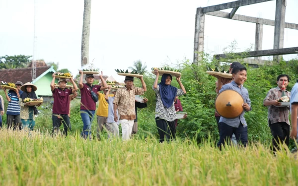 Thumbnail Lestarikan Tradisi Jelang Panen, Kelompok Tani Sleman Gelar Wiwitan Massal