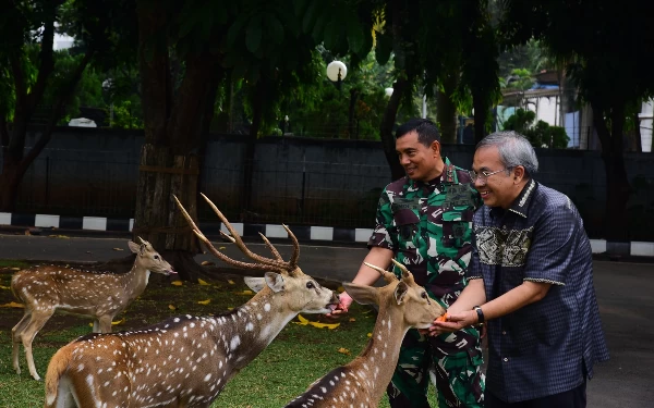 Thumbnail Dankormar Mayjen TNI Endi Supardi Mampu Berkomunikasi dengan Puluhan Ekor Rusa