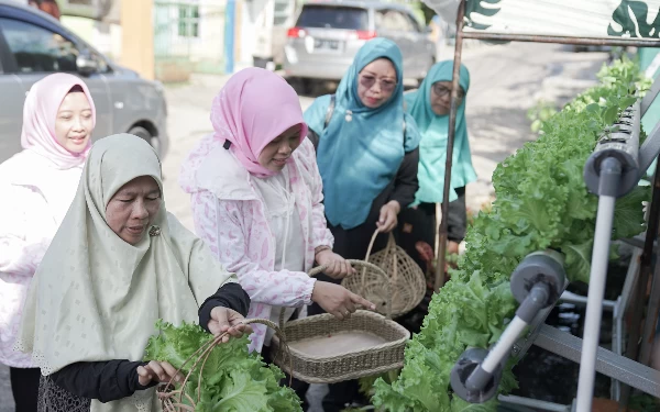 Thumbnail Program BRInita Sulap Lahan Sempit Jadi Urban Farming yang Produktif