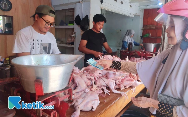 Thumbnail Idulfitri, Harga Daging Ayam di Pacitan Tembus Rp50 Ribu Per Kg