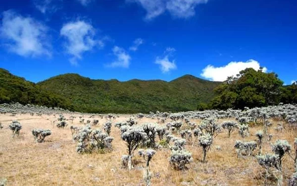 Thumbnail Berita - 7 Objek Wisata Gunung Gede Cianjur, Ada Kawah hingga Air Terjun, Semua Mempesona!