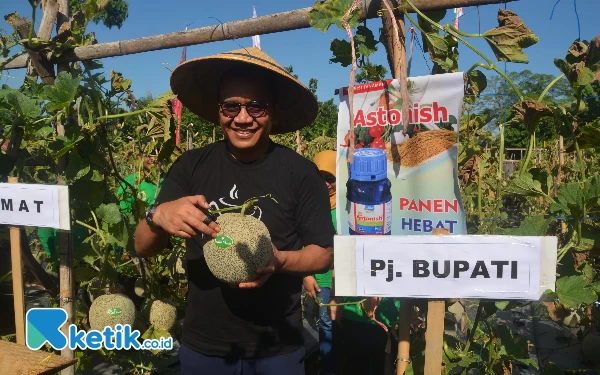 Thumbnail Berita - Pj Bupati Bondowoso Petik Melon dan Semangka di Desa Kretek