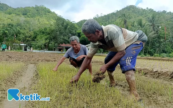 Thumbnail Update Terkini Kasus Dugaan Pencemaran Dampak Aktivitas PT GLI Pacitan