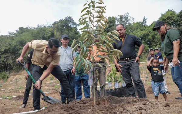 Thumbnail Berita - Warga Berharap Padukuhan Jering VIII Sleman Kedepan Jadi Kampung Wisata Durian