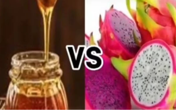 Thumbnail Bunda! Yuk Konsumsi Buah Naga Plus Madu, Anda Akan Merasakan Khasiatnya