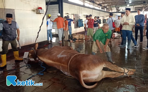 Thumbnail Berita - Permintaan Meningkat, RPH Kota Malang Butuh Tambahan Juru Sembelih