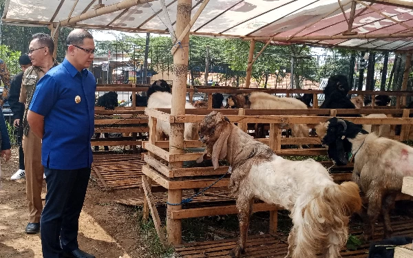 Pj Wali Kota Batu Minta Dinas Pertanian Awasi Mobilisasi Hewan Kurban