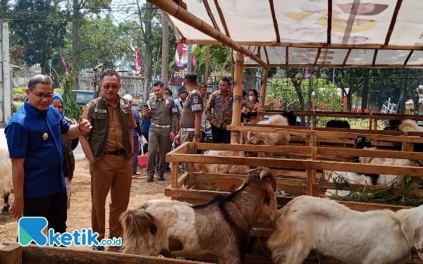 Thumbnail Bebas PMK, Pemkot Batu Persilahkan Masyarakat Sembelih Kurban Secara Mandiri