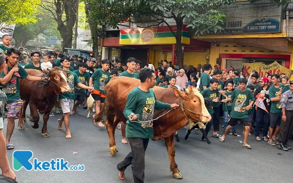 Thumbnail Berita - Tradisi Arak-arakan Hewan Kurban Hebohkan Warga Kota Malang