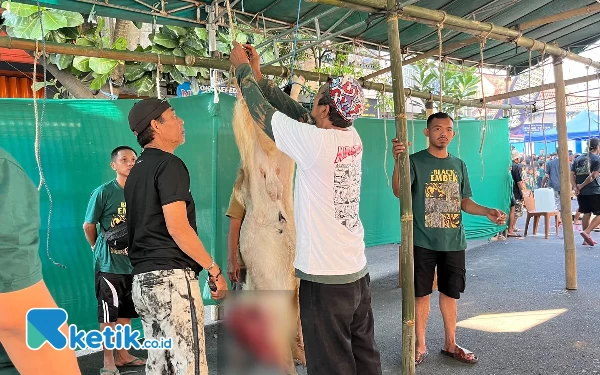 Kurangi Penggunaan Plastik saat Idul Adha, Pemkot Malang Butuh Sosialisasi Bertahap