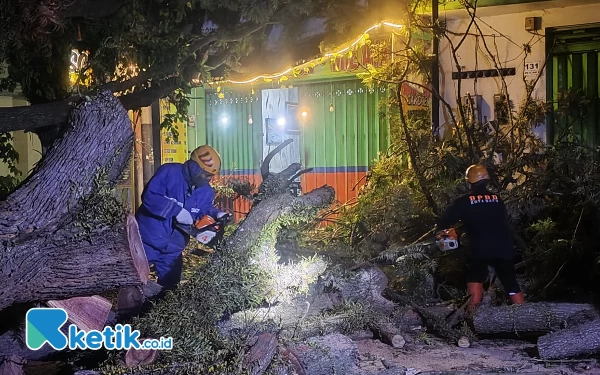 Thumbnail Berita - Pohon Tumbang di Kota Batu Rusak Teras Toko