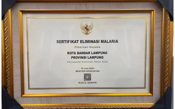 Thumbnail Berita - Wali Kota Bandar Lampung Eva Dwiana Terima Sertifikat Malaria dari Kemenkes