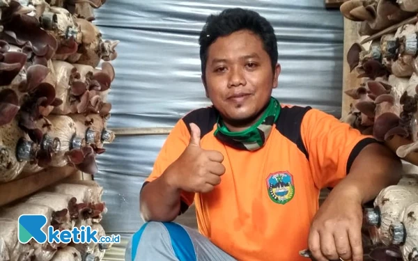 Kisah Petani Jamur Tiram Pacitan Bermodal Rp600 Ribu, Kini Kewalahan Penuhi Permintaan Pasar