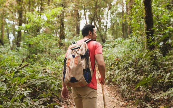 Thumbnail Mendadak Mendaki Gunung, Tak Hanya Fisik, Ini yang Harus Dipersiapkan