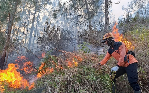 Musim Kemarau, BPBD Kota Batu Antispasi Karhutla