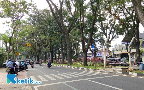 Marak Kecelakaan, DLH Kota Malang Akan Tinggikan Kanstin Jalan Veteran